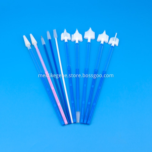 Multiple Types Disposable Medical Cervical Sample Collection Brush for HPV Testing